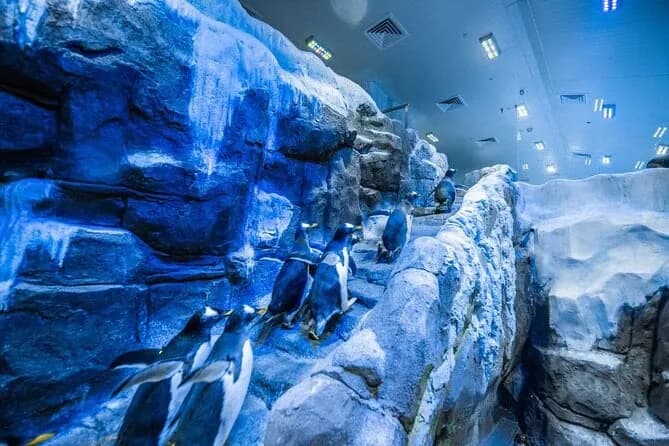 Dubai Aquarium & Underwater Zoo – Regular Pass - Image 7