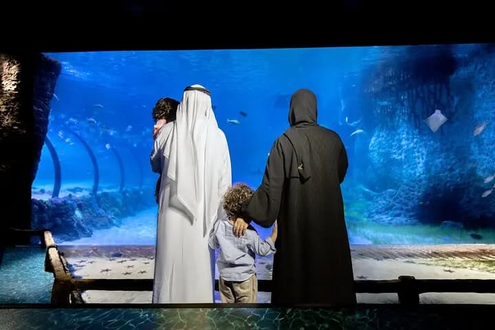 Combo: The National Aquarium + Louvre Abu Dhabi - Image 7