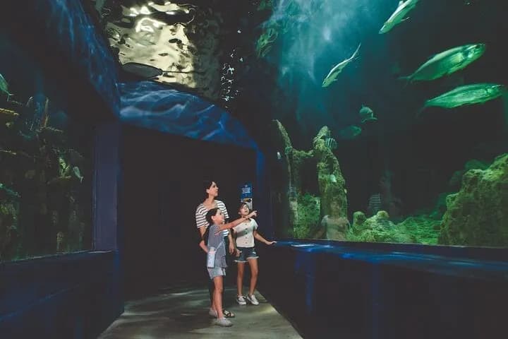 Dubai Aquarium & Underwater Zoo – Regular Pass - Image 4