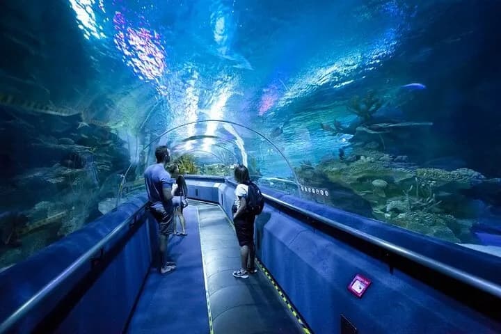 Dubai Aquarium & Underwater Zoo – Regular Pass - Image 2