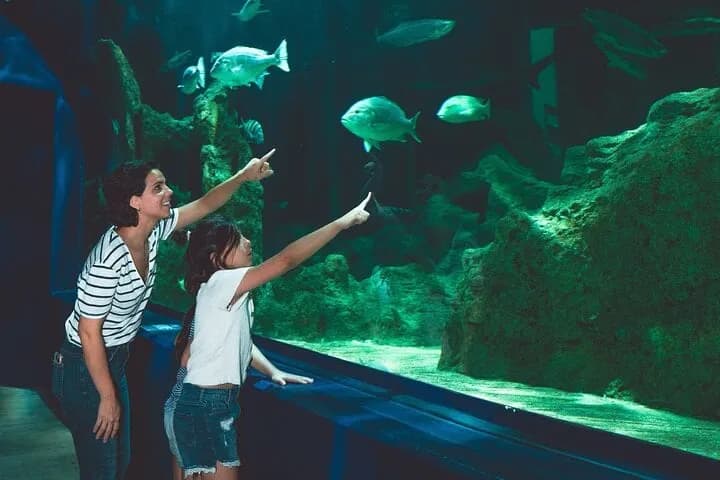 Dubai Aquarium & Underwater Zoo – Regular Pass - Image 8
