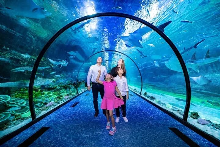 Combo: The National Aquarium + Louvre Abu Dhabi - Image 2